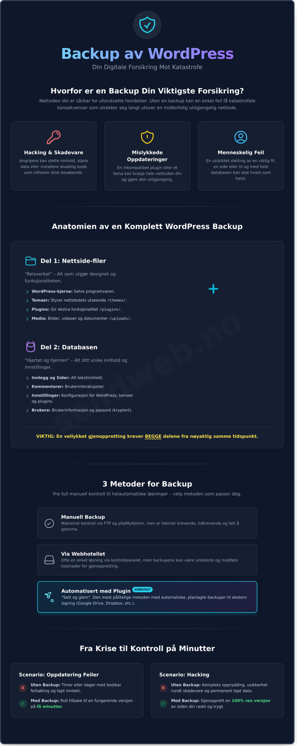 Backup av WordPress: Den komplette guiden for å sikre din nettside - Infographic